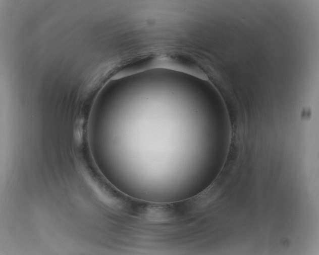 X0000112880070200908211502