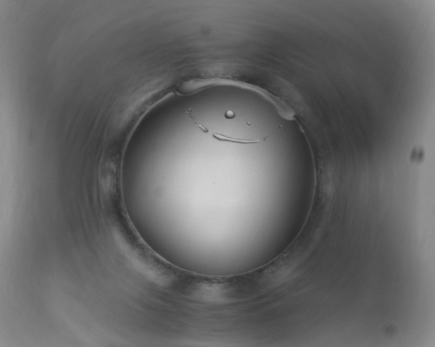 X0000112880071200908211502