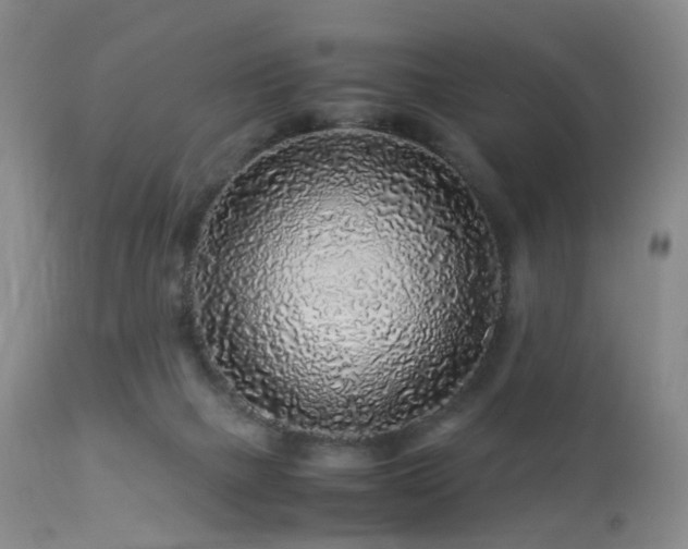 X0000112880073200908211502