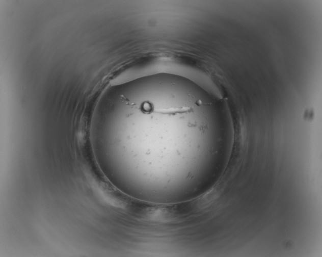 X0000112880074200908211502