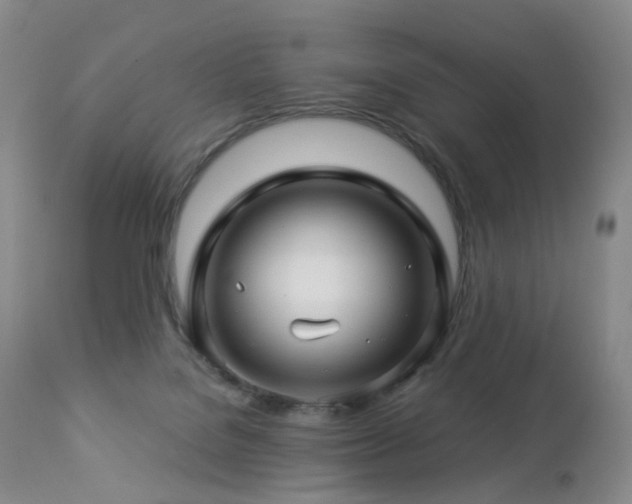 X0000112880076200908211502