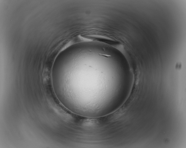 X0000112880077200908211502