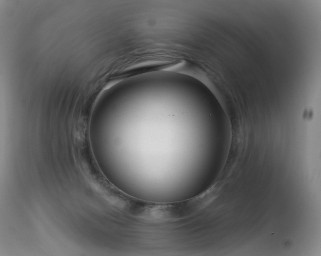 X0000112880078200908211502