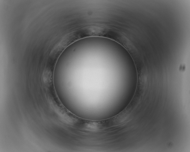 X0000112880079200908211502