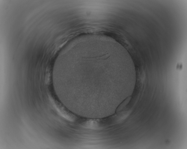 X0000112880080200908211502