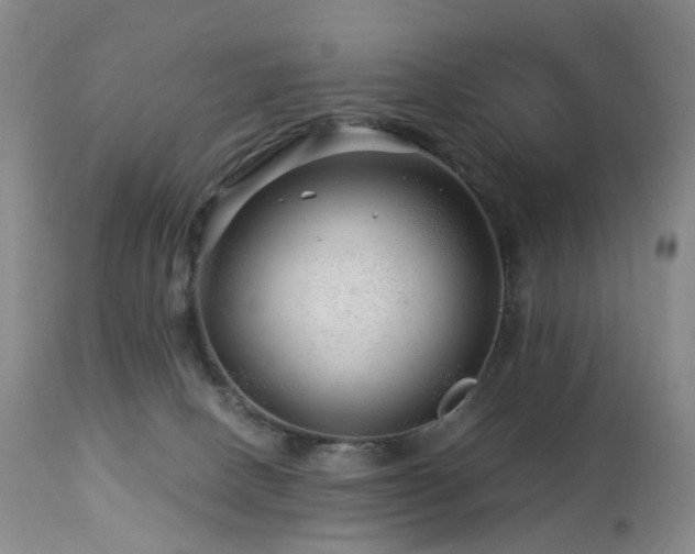 X0000112880082200908211502