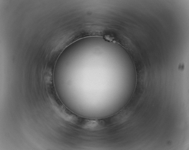 X0000112880083200908211502