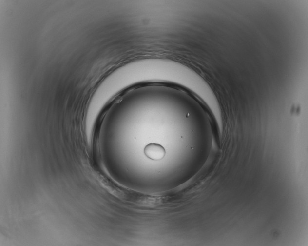 X0000112880084200908211502