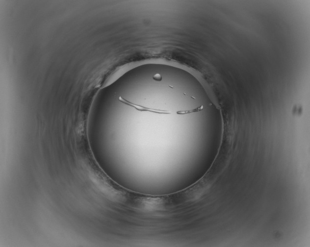 X0000112880085200908211502