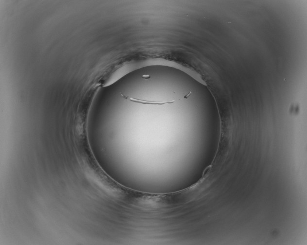 X0000112880086200908211502