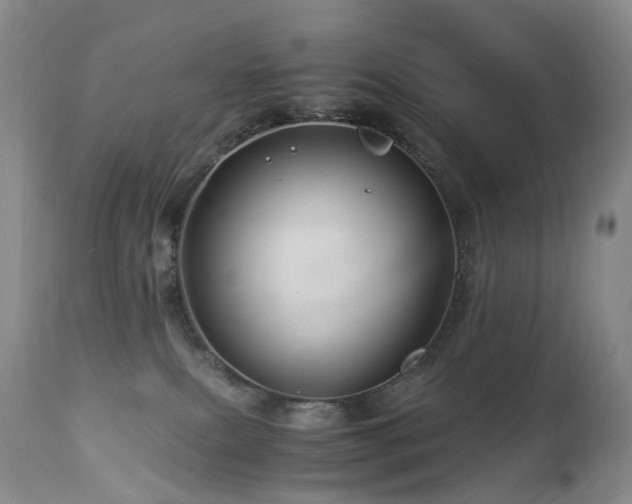 X0000112880087200908211502