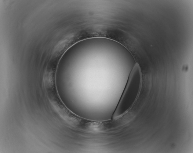 X0000112880088200908211502