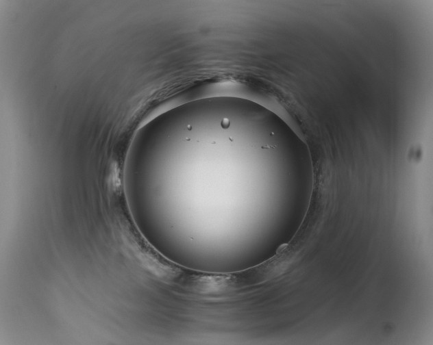 X0000112880089200908211502