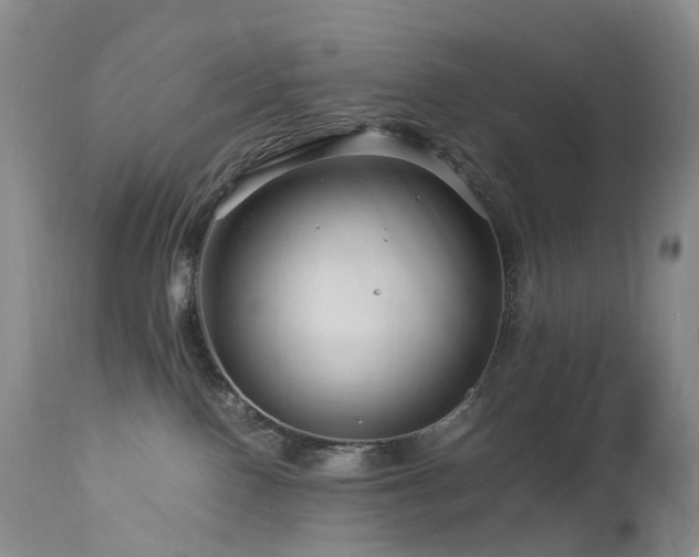 X0000112880090200908211502