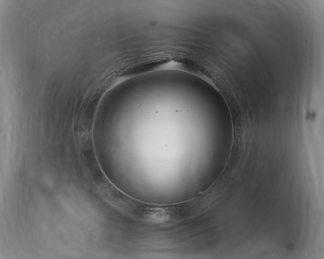 X0000112880091200908211502