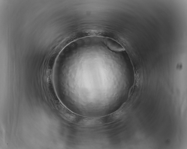 X0000112880093200908211502