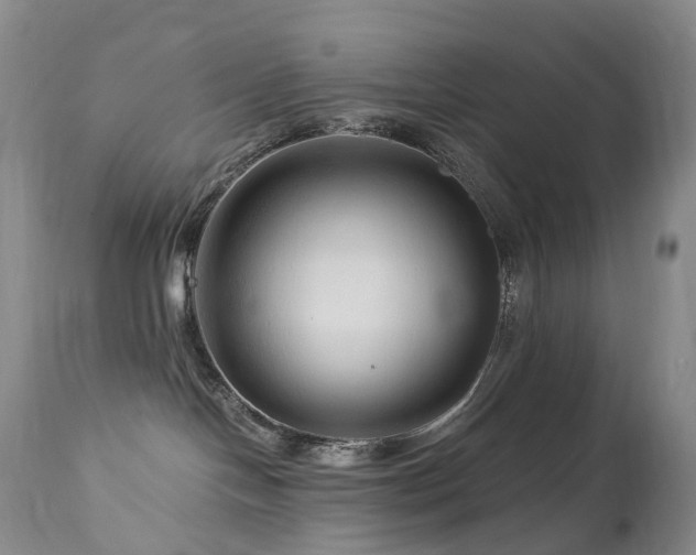 X0000112880094200908211502