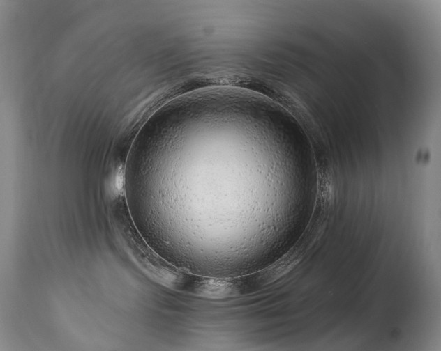 X0000112880095200908211502