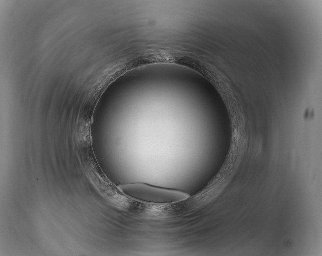 X0000112880096200908211502