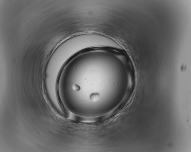 X0000112880097200908211501