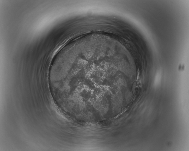 X0000112880099200908211501