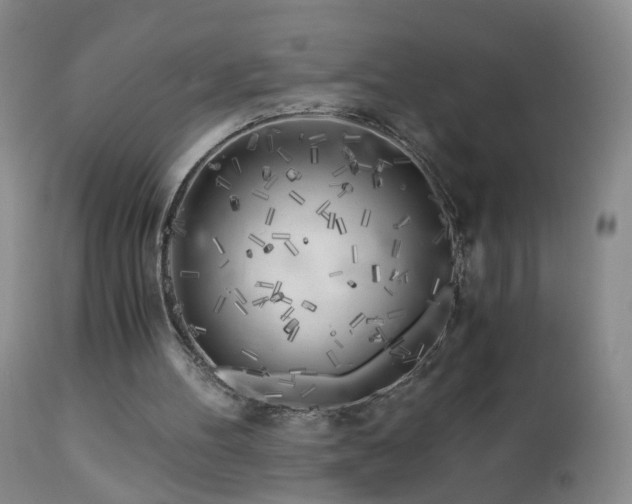 X0000112880100200908211501