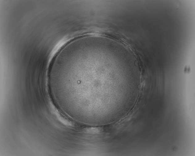 X0000112880102200908211501