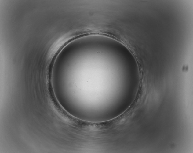 X0000112880103200908211501