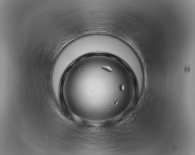 X0000112880105200908211501