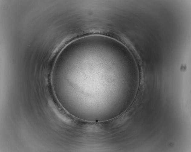 X0000112880106200908211501