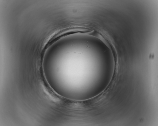 X0000112880107200908211501