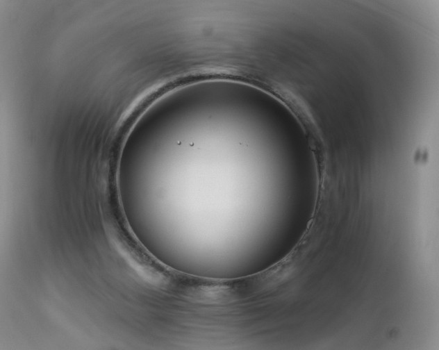 X0000112880108200908211501