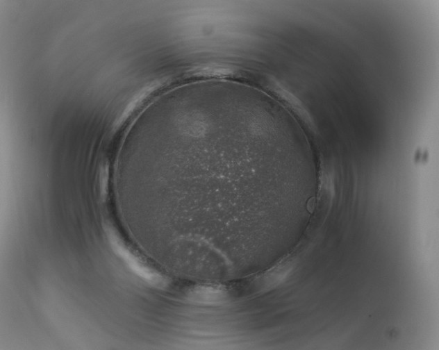 X0000112880110200908211501