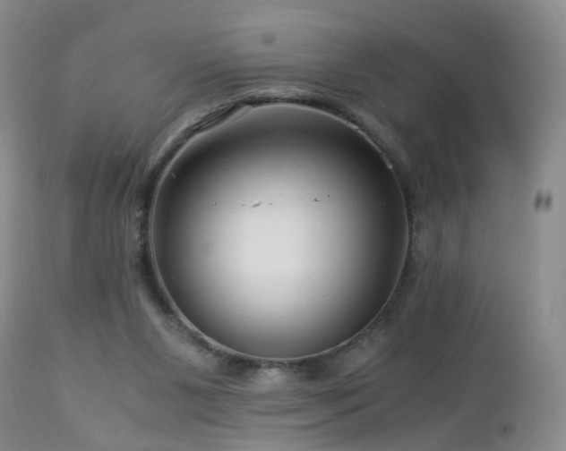 X0000112880111200908211501