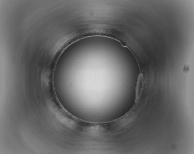 X0000112880112200908211501