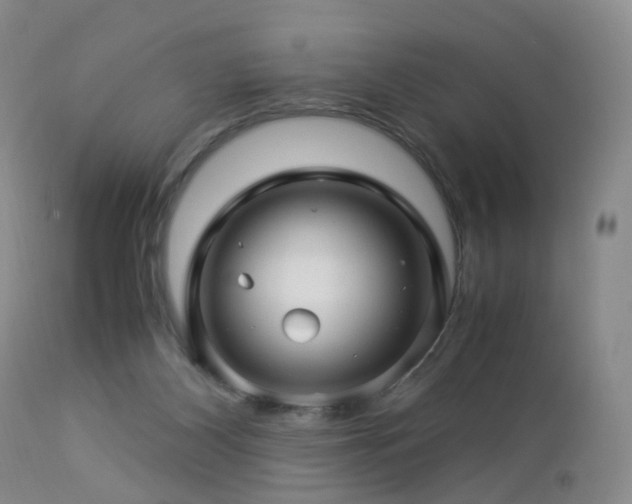 X0000112880116200908211501