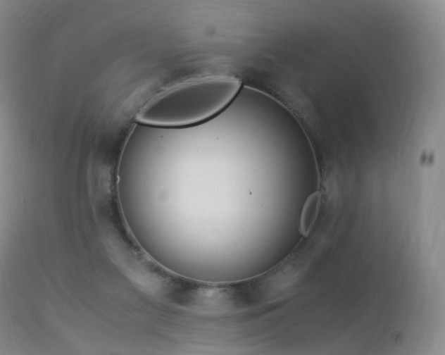 X0000112880117200908211501