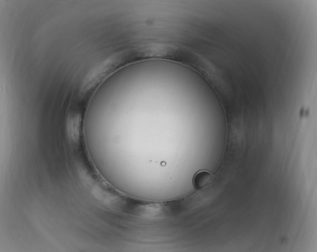 X0000112880118200908211501