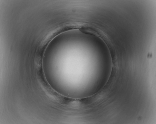 X0000112880119200908211501