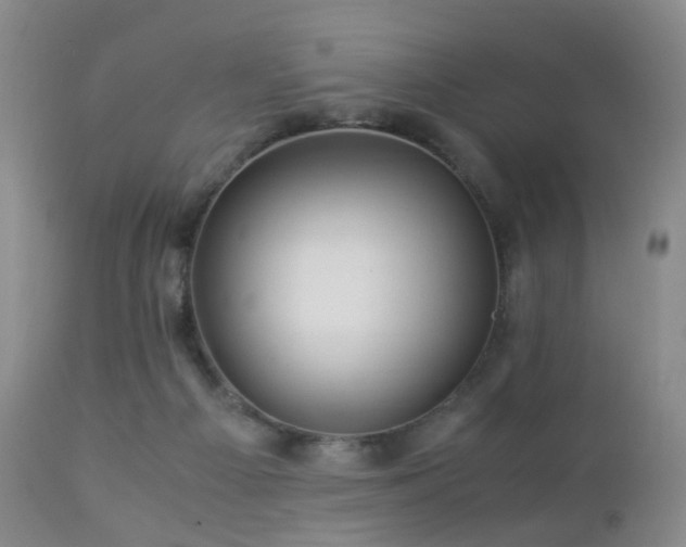 X0000112880121200908211501