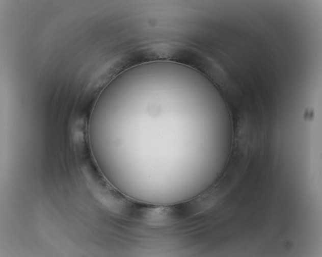 X0000112880122200908211501