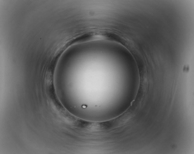 X0000112880123200908211501