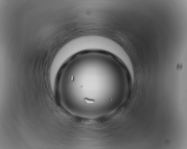 X0000112880125200908211501