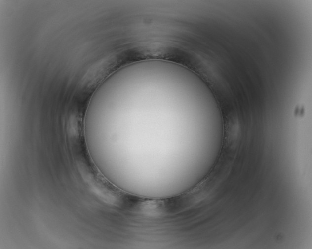 X0000112880126200908211501