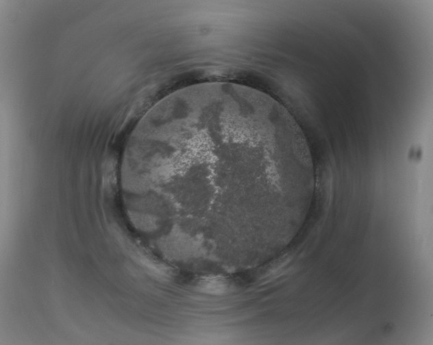 X0000112880127200908211501