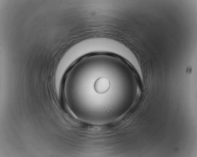 X0000112880129200908211501