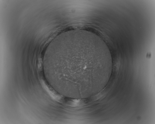 X0000112880130200908211501