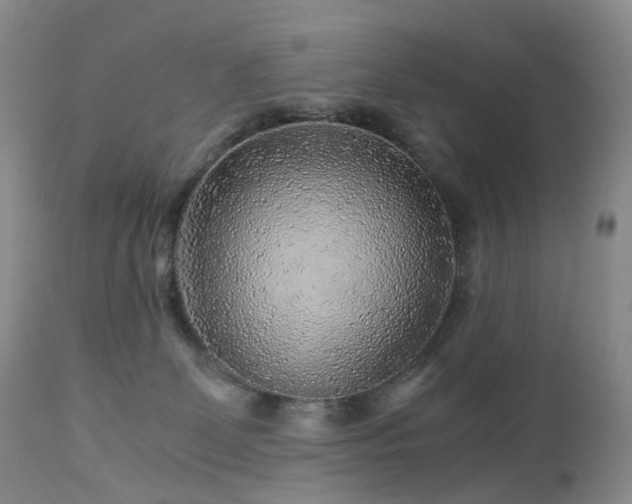 X0000112880131200908211501