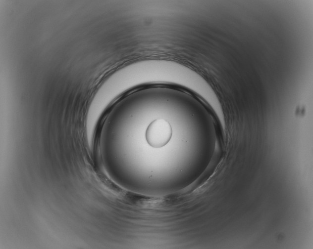 X0000112880132200908211501