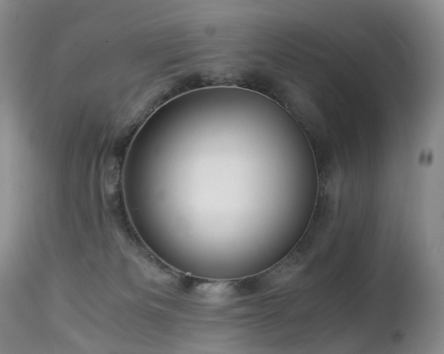 X0000112880133200908211501